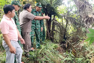 Lực lượng chức năng, kiểm tra, khảo sát khu vực có nguy cơ sạt lở tại khu vực thôn H’juh, xã Ch’ơm (huyện Tây Giang).