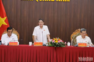 Phó Chủ tịch Quốc hội Nguyễn Đức Hải phát biểu tại buổi làm việc.