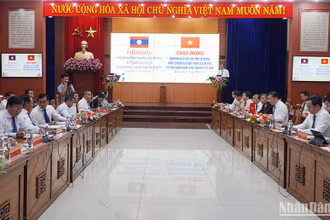 Quang cảnh buổi làm việc.