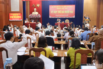 Các đại biểu Hội đồng nhân dân tỉnh biểu quyết thông qua các nghị quyết về phát triển kinh tế-xã hội.