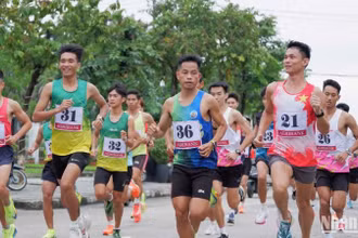 Gần 1.200 vận động viên tham gia Giải Việt dã Báo Quảng Nam mở rộng lần thứ 27 năm 2024