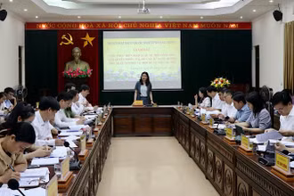 Quang cảnh buổi giám sát.