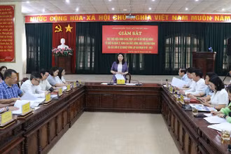 Quang cảnh buổi giám sát.