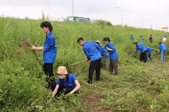 Các thanh niên tình nguyện tham gia phát quang bờ đê.