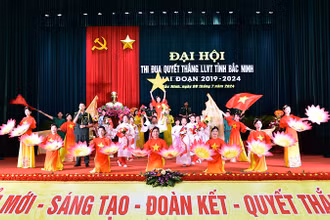 Các tiết mục văn nghệ chào mừng đại hội.