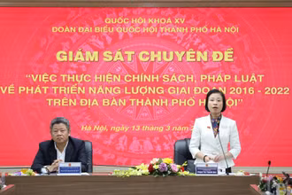 Đoàn đại biểu Quốc hội thành phố Hà Nội thực hiện giám sát chuyên để thực hiện chính sách pháp luật về phát triển năng lượng.