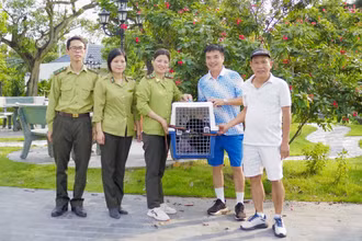 Sau khi được kiểm tra y tế và các thủ tục cần thiết cá thể Vượn đen má hung được đưa về Chương trình cứu hộ linh trưởng nguy cấp tại Vườn quốc gia Cúc Phương để chăm sóc, bảo tồn.