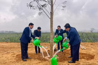 Sau lễ phát động, các đại biểu trồng cây tại thành phố Tam Điệp, tỉnh Ninh Bình.