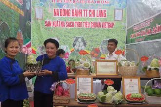 Sản phẩm quả na Chi Lăng (huyện Chi Lăng) được trưng bày tại Chương trình quảng bá, tiêu thụ na. 
