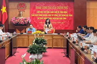Đồng chí Đào Hồng Lan, Ủy viên Trung ương Đảng, Bộ trưởng Y tế, phát biểu tại buổi làm việc với lãnh đạo tỉnh Lạng Sơn. 