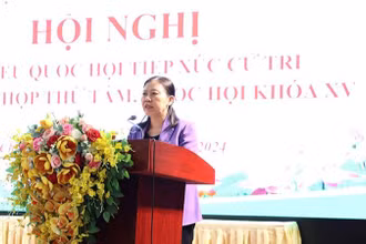 Đồng chí Lê Thị Nga, Ủy viên Trung ương Đảng, Ủy viên Ủy ban Thường vụ Quốc hội, Chủ nhiệm Ủy ban Tư pháp của Quốc hội, Đại biểu Quốc hội tỉnh Hà Nam tiếp thu, trả lời kiến nghị của cử tri phường Châu Sơn, thành phố Phủ Lý.