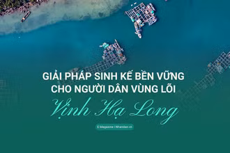 Giải pháp sinh kế bền vững cho người dân vùng lõi Vịnh Hạ Long