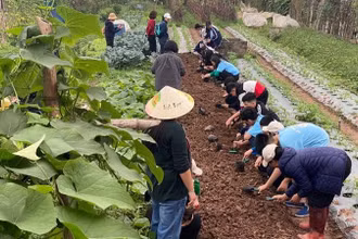 Các em học sinh hào hứng khi được trải nghiệm các công việc nhà nông.