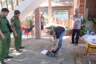 Công an đang kiểm tra tình trạng sức khỏe của các con rùa.