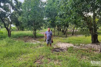 Lô đất tranh chấp.
