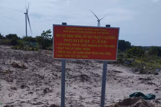 Đất rừng của huyện Tuy Phong.