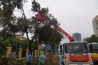 Trung tâm Công viên cây xanh Huế đang hỗ trợ Hà Nội thu dọn cây gãy, đỗ trong bão số 3.