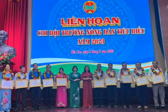 Lãnh đạo tham dự Liên hoan tặng bằng khen cho Chi hội trưởng nông dân có thành tích xuất sắc.