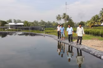 Người dân huyện Chợ Lách (tỉnh Bến Tre) đào ao, trữ nước ngọt phục vụ sản xuất trong mùa hạn mặn. (Ảnh: HOÀNG TRUNG)