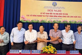 Các tỉnh, thành phố vùng đồng bằng sông Cửu Long ký kết giao ước thi đua.