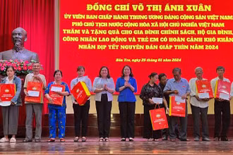 Phó Chủ tịch nước Võ Thị Ánh Xuân cũng lãnh đạo chính quyền địa phương tặng quà Tết tại tỉnh Bến Tre.