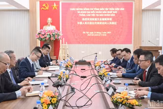 Quang cảnh buổi làm việc.