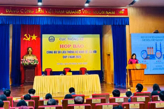 Cục trưởng Cục Thống kê (Bộ Tài chính) Nguyễn Thị Hương công bố số liệu thống kê.