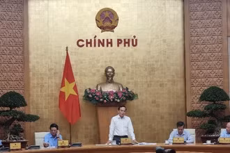 Phó Thủ tướng Trần Lưu Quang phát biểu ý kiến chỉ đạo cuộc họp.