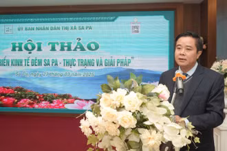 Đồng chí Phan Đăng Toàn, Bí thư Thị ủy Sa Pa phát biểu khai mạc hội thảo.