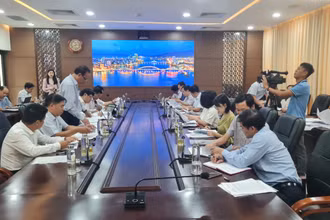 Cuộc họp giám sát chuyên đề về tình hình thực hiện các quy định của pháp luật đối với dự án đầu tư nhóm C.