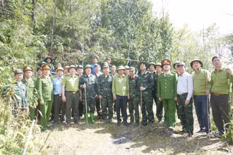 Lãnh đạo tỉnh Lào Cai trực tiếp vào hiện trường kiểm tra, chỉ đạo công tác chữa cháy rừng tại xã Tả Van, thị xã Sa Pa (Lào Cai).