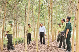 Cán bộ Chi cục Kiểm lâm tỉnh Long An kiểm tra công tác phòng, chống cháy rừng tại huyện Thạnh Hóa. 