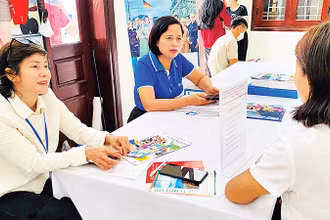 Tư vấn việc làm cho người lao động tại Phiên giao dịch và tư vấn việc làm huyện Ba Vì. (Ảnh THU THẢO) 