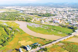 Thành phố Tam Kỳ trồng rừng trong phố hướng đến phát triển đô thị xanh, thông minh. 