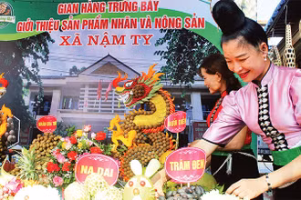 Tỉnh Sơn La tổ chức nhiều chương trình quảng bá, giới thiệu các sản phẩm nông sản thế mạnh của các cơ sở. 