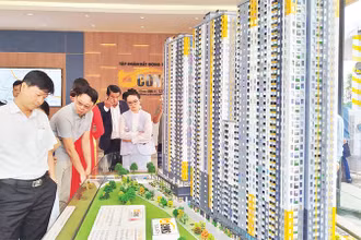 Người dân tham quan dự án Khu chung cư Tân Ðông Hiệp tại thành phố Dĩ An, tỉnh Bình Dương. 