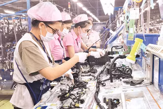 Sản xuất dây dẫn điện ô-tô tại Công ty TNHH Yazaki Eds Việt Nam ở thành phố Dĩ An. 