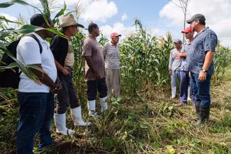 Các chuyên gia thảo luận với nông dân Cuba về giải pháp nông nghiệp. 