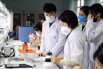 Sinh viên Ðại học Quốc gia Hà Nội học tập, nghiên cứu chuyên sâu. (Ảnh TUẤN ANH) 