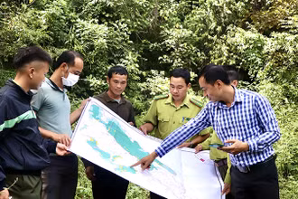 Kiểm tra, xác minh diện tích để chi trả tiền dịch vụ môi trường rừng cho các chủ rừng trên địa bàn tỉnh Ðiện Biên. (Ảnh Lê Huyền) 