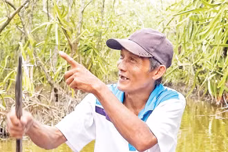 Ông Mai Lam Phương với niềm vui từ vườn thanh long trên vuông tôm của mình. 