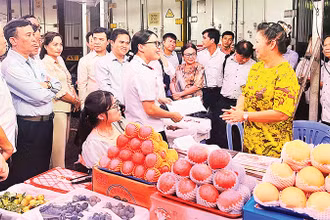 Ðoàn giám sát Ban Văn hóa-Xã hội, HÐND Thành phố Hồ Chí Minh giám sát vệ sinh an toàn thực phẩm tại chợ nông sản (thành phố Thủ Ðức) đêm 16/8/2024. 