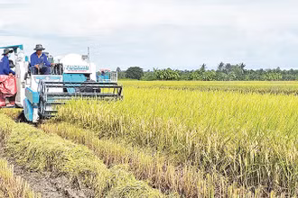 Cơ giới hóa trong sản xuất nông nghiệp tại vùng đồng bào dân tộc thiểu số ở Sóc Trăng. 