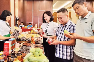 Giới thiệu sản phẩm OCOP tỉnh Sơn La đến khách hàng. 