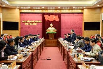 Các đại biểu tại buổi làm việc.