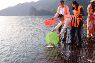 Lãnh đạo tỉnh Hòa Bình thả cá để tái tạo nguồn lợi thủy sản.