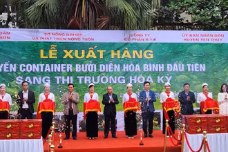 Đại diện lãnh đạo tỉnh, huyện Lương Sơn và doanh nghiệp cắt băng khánh thành tại buổi lễ.