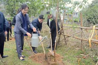 Các đồng chí lãnh đạo tỉnh Hòa Bình trồng cây sau Lễ phát động.