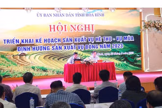 Đông đảo đại biểu các địa phương trong tỉnh tham dự hội nghị.