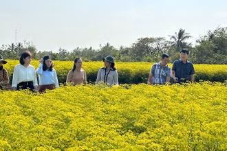 Nhiều hộ Khmer ở xã Vĩnh Trạch Đông (thành phố Bạc Liêu) trồng các loại rau thơm đem lại hiệu quả kinh tế cao. Ảnh: TRỌNG DUY